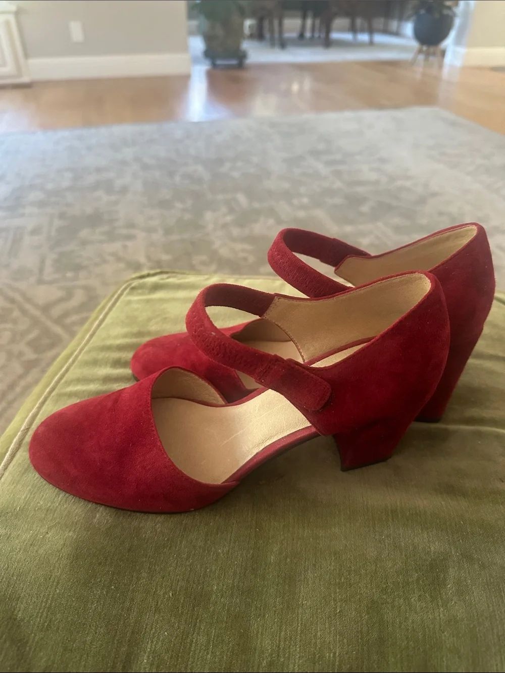 Eileen Fisher Red Suede Mary Jane Block Heels only worn once